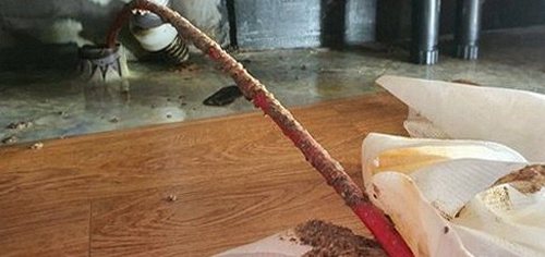 도림동 아파트 변기 압축기 사용법과 배관 점검 비교